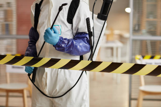 Professional Sewage Cleanup technician working in La Honda, CA